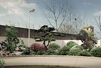 園林景觀設計公司：園林景觀設計常用的原則有哪些？