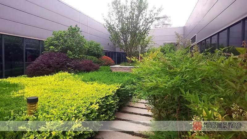 屋頂花園設(shè)計(jì)